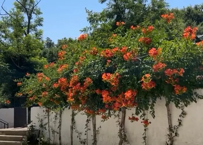 Appartement Lexhulo Room's